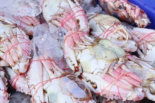 Fresh crab in market — Stock Photo, Image