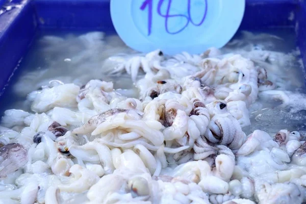Verse squid in markt — Stockfoto