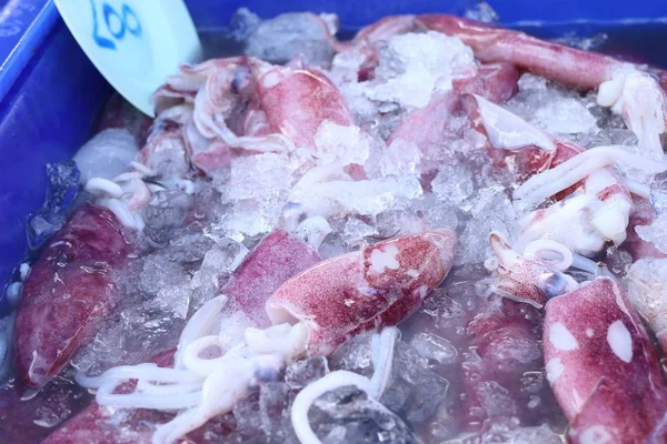 Calamari freschi sul mercato — Foto Stock