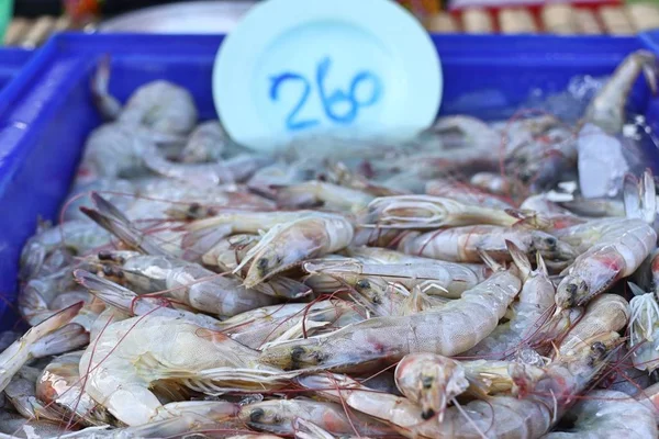 Verse garnalen in markt — Stockfoto