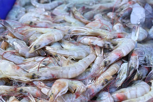 Crevettes fraîches sur le marché — Photo