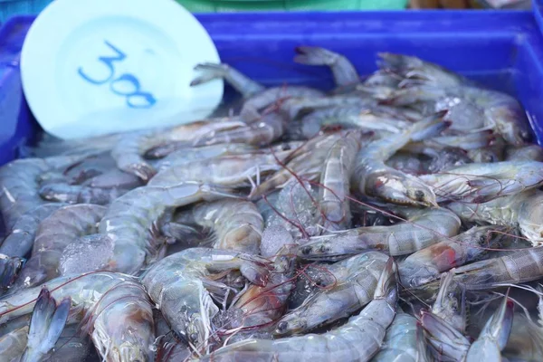 Camarones frescos en el mercado —  Fotos de Stock