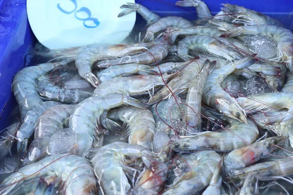 pazarda taze karides