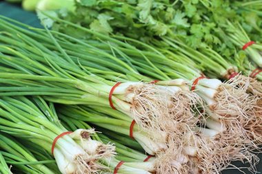 Taze soğan ve kişniş Pazar