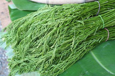 Akasya pennata Market