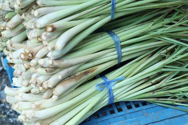 Lemongrass no mercado — Fotografia de Stock