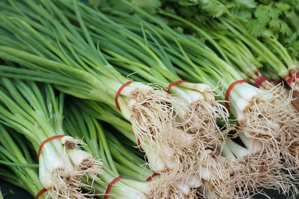 Frühlingszwiebel- und Koriandermarkt — Stockfoto