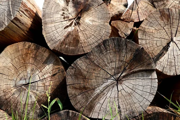 Stack timber on grass — Stock Photo, Image