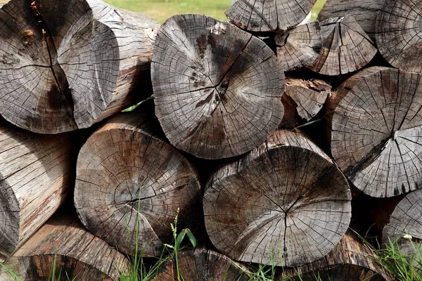 Stack timber on grass — Stock Photo, Image