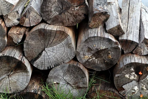 芝生の上のスタック木材 — ストック写真