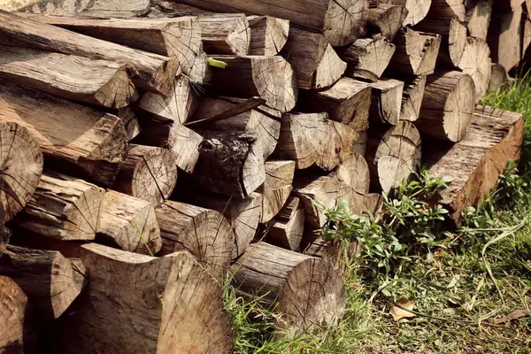 Stack timber on grass — Stock Photo, Image