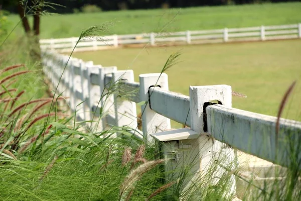 White fence on the farm — Stock Photo, Image