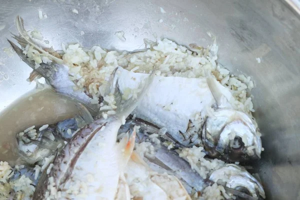 Риба з рисом на вуличній їжі — стокове фото