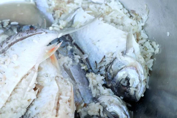 Vis met rijst op straat eten — Stockfoto