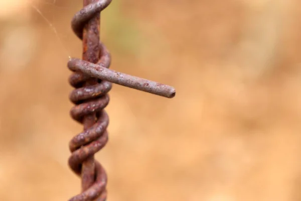 Barb wire in wijngaard — Stockfoto