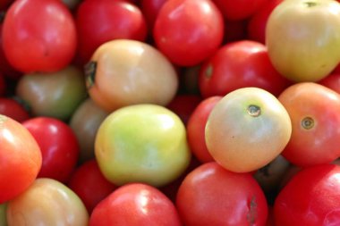 Pazardaki domatesler