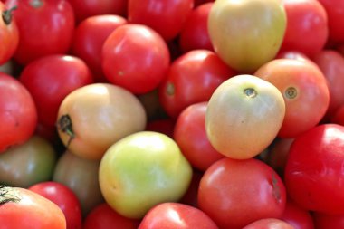 Pazardaki domatesler