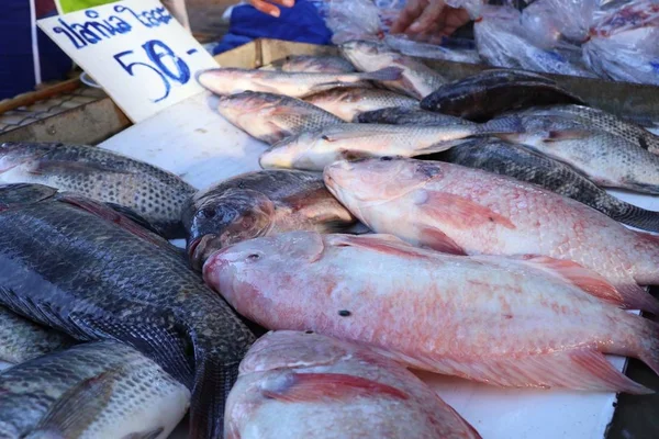 Peixe no mercado — Fotografia de Stock