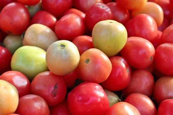 Tomaten op de markt — Stockfoto