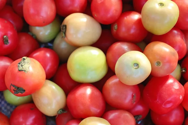 Tomaten op de markt — Stockfoto