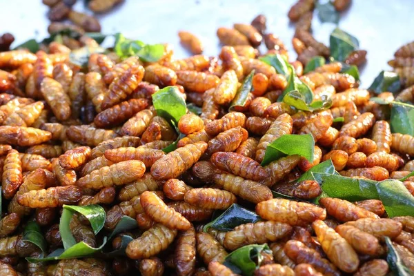 在街边食物油炸昆虫 — 图库照片