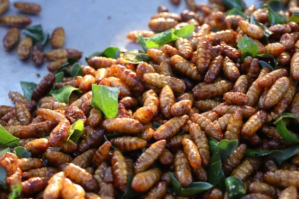 Fried Insect at street food — Stock Photo, Image