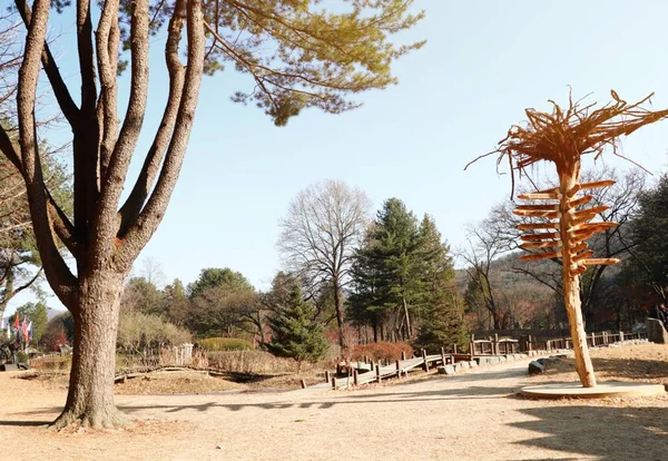 Primavera in Corea del Sud — Foto Stock