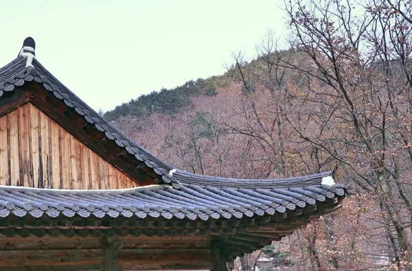 韓国伝統建築の屋根 — ストック写真