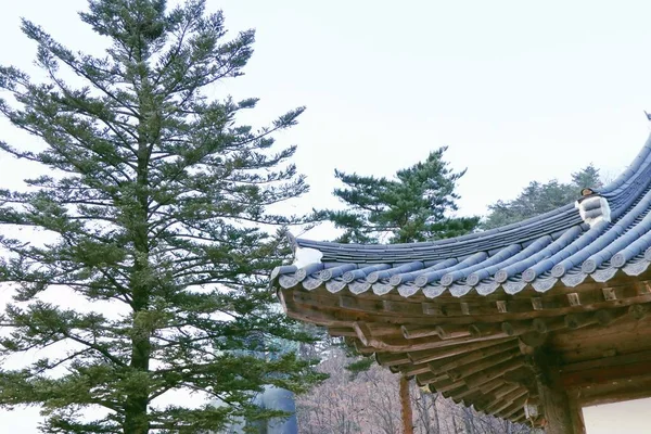 한국 전통 건축의 지붕 — 스톡 사진