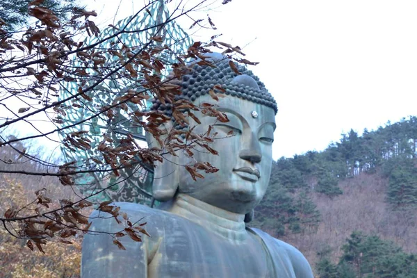 Soraksan national park in korea — Stock Photo, Image