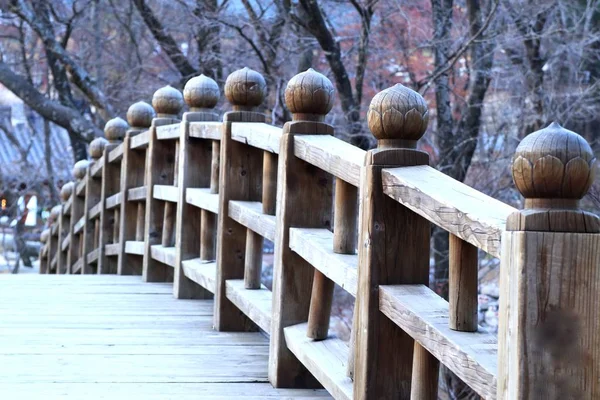 Wooden bridge in spring — Stock Photo, Image