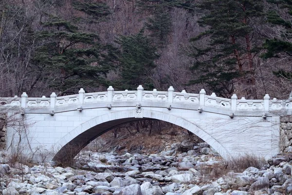 Frühling in Südkorea — Stockfoto