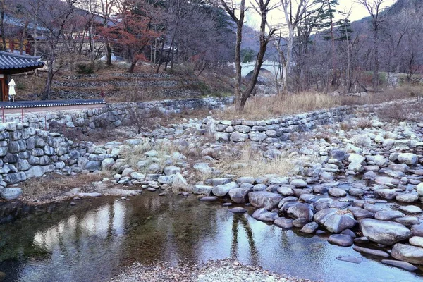 Våren i Sydkorea — Stockfoto