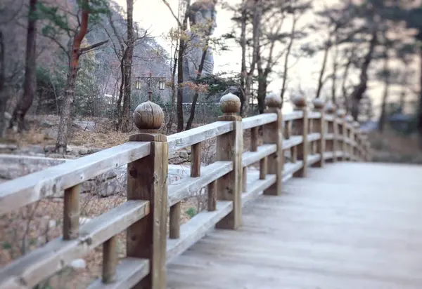 Ponte in legno in primavera — Foto Stock