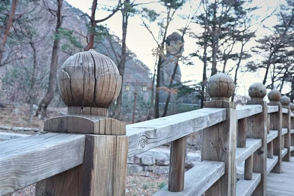 Ponte de madeira na primavera — Fotografia de Stock