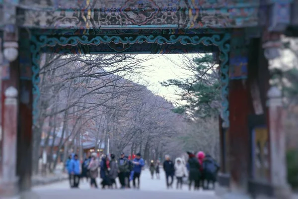 Pessoas desfocadas primavera Coréia — Fotografia de Stock