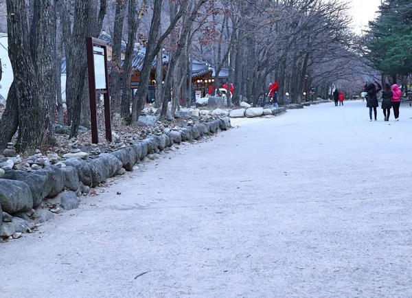 ぼやけた人春の韓国 — ストック写真