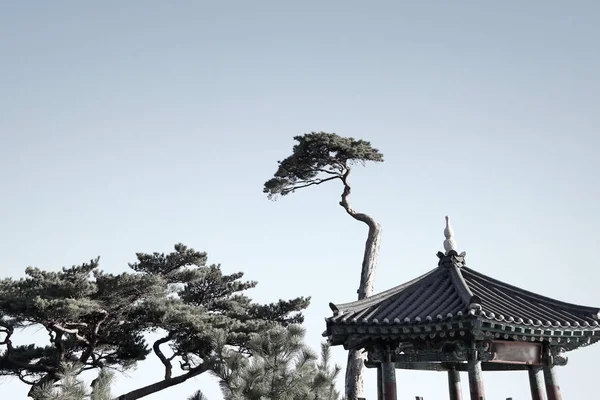 Templo de naksansa en Corea del Sur —  Fotos de Stock