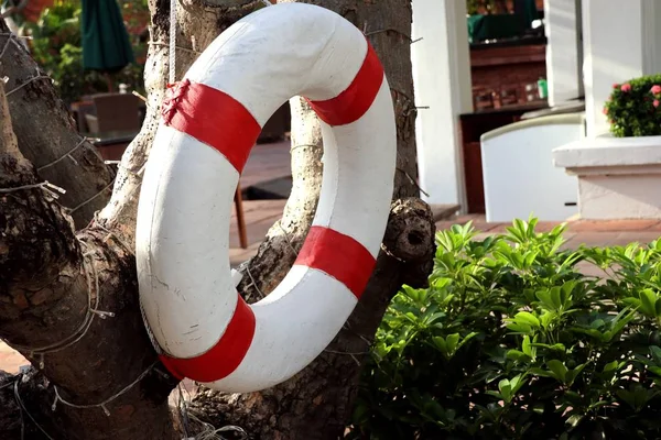 Lifebuoy by the pool — Stock Photo, Image