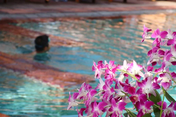 Havuzun yanında orkide çiçek — Stok fotoğraf