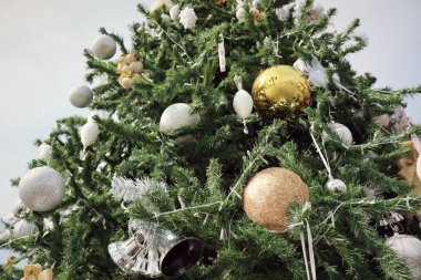 Noel ağaçları için dekoratif                              