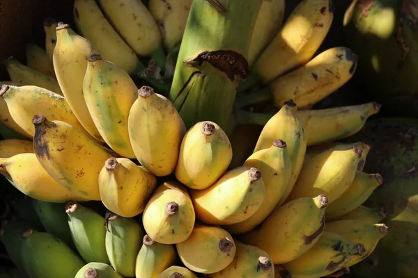 Banán v pouliční stánky s jídlem — Stock fotografie