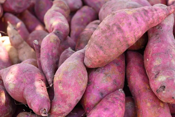 Zoete aardappel op straat eten — Stockfoto