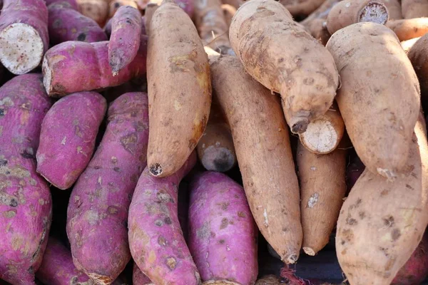 Zoete aardappel op straat eten — Stockfoto