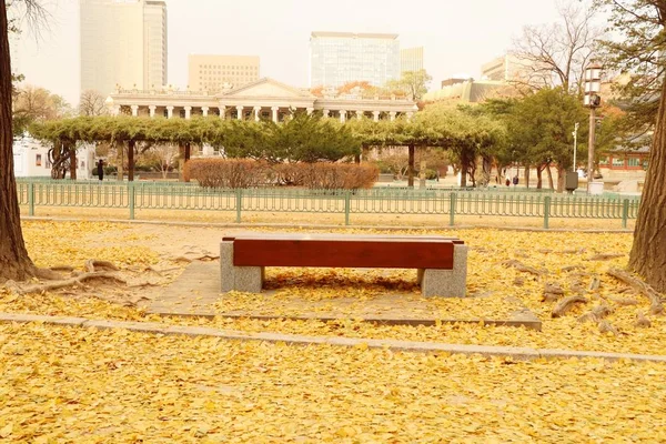 Bänk park i korea — Stockfoto