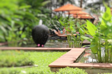 Çeşme dekorasyon n Bahçe