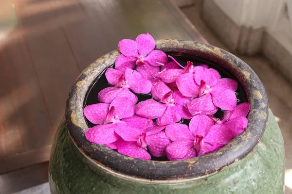 联兰花花在水中 — 图库照片