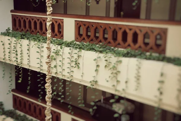 Folhas de hera decorar o hotel — Fotografia de Stock