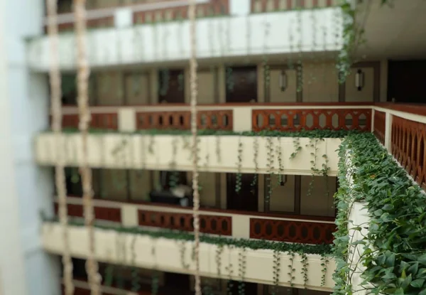 Feuilles de lierre décorer l'hôtel — Photo