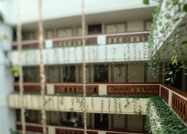 Φύλλα κισσού διακοσμήσει το ξενοδοχείο — Φωτογραφία Αρχείου